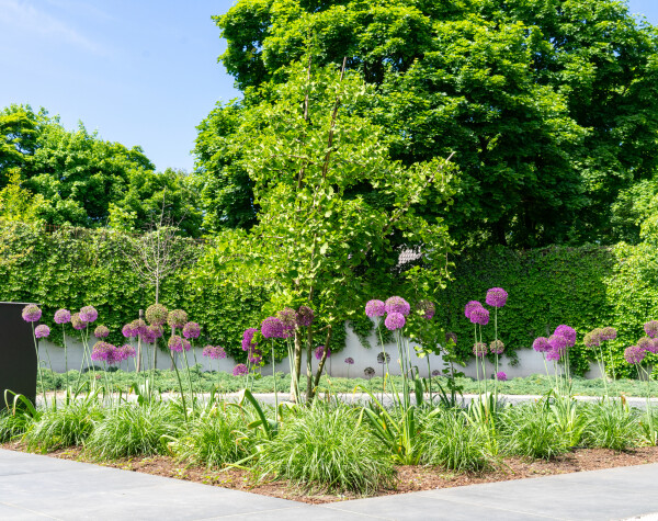Aanleg buitenterrein | Uddel