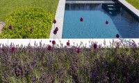 Foto 32